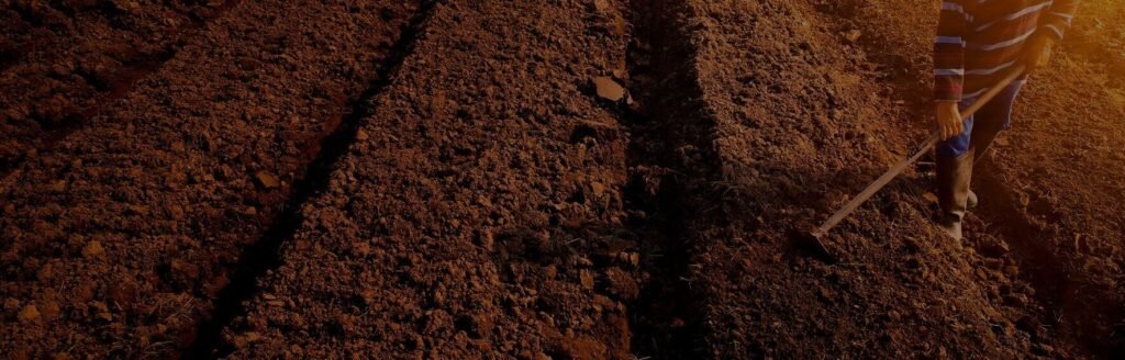 ageusa_fooder_image_test1